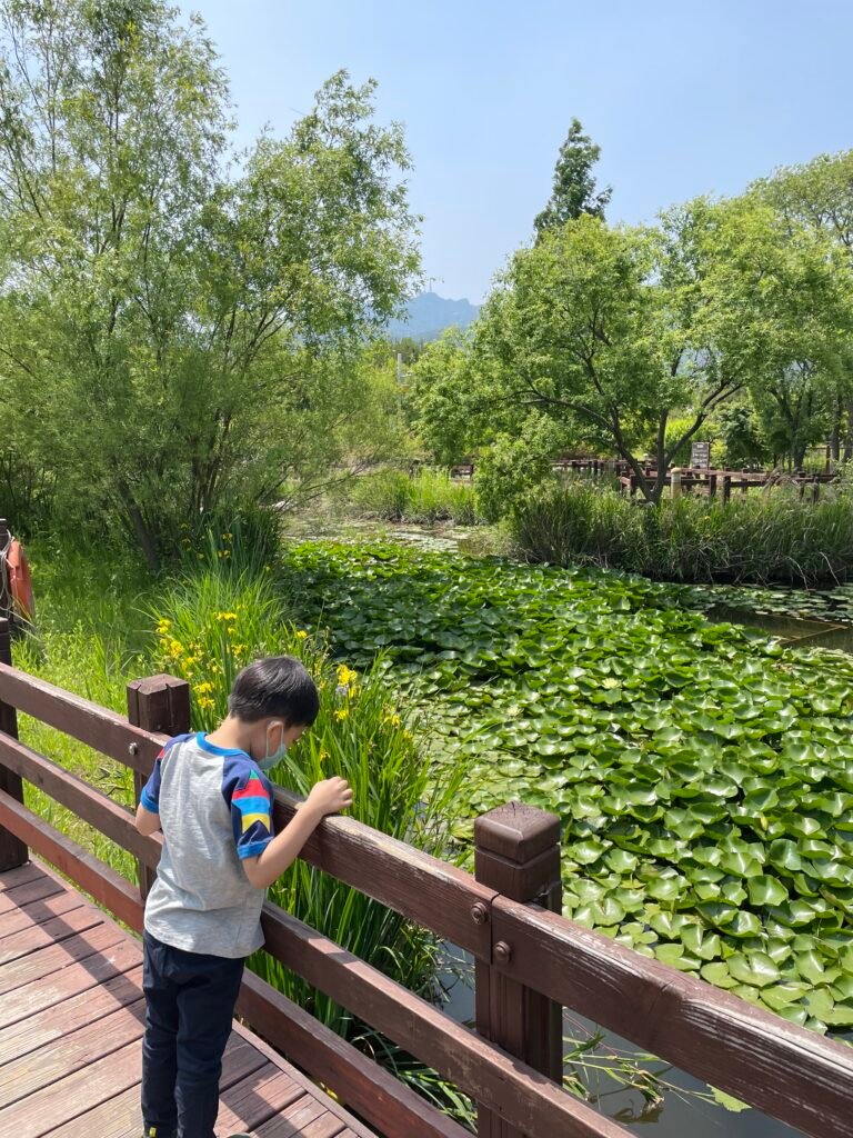 과천국립과학관 연못