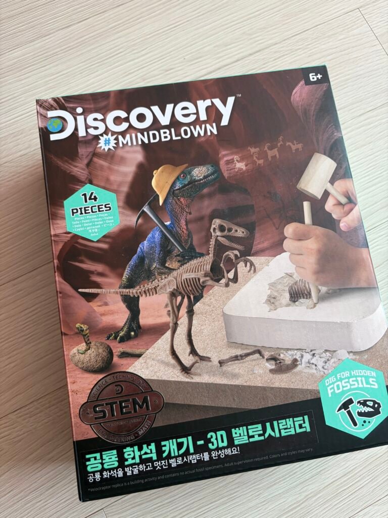 남아 선물 공룡 화석 발굴 키트