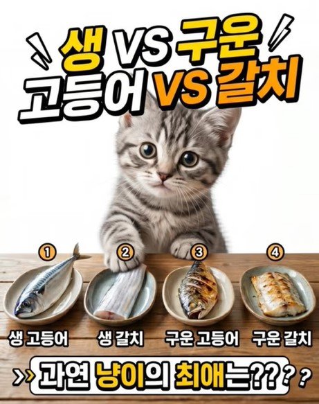 고양이가 좋아하는 생선